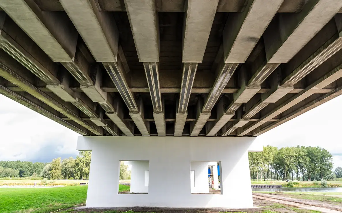 Betonconstructie Vogel
