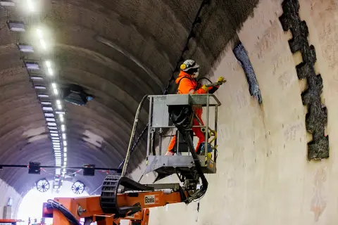 Hubertustunnel 01 Vogel