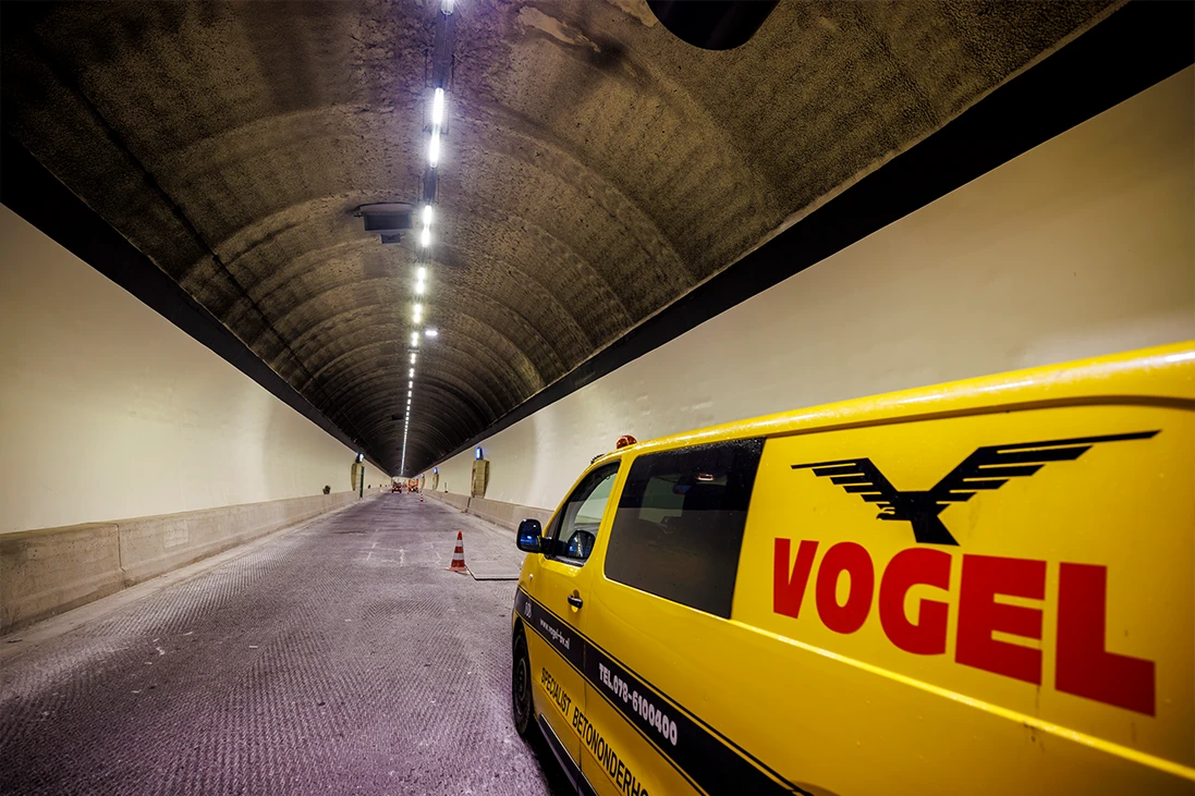 Hubertustunnel 02 Vogel