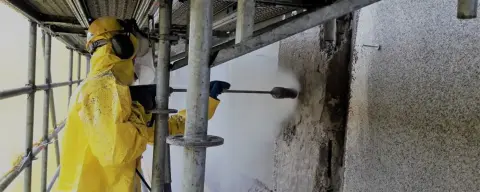 Project Fenixloods 2 Vogel